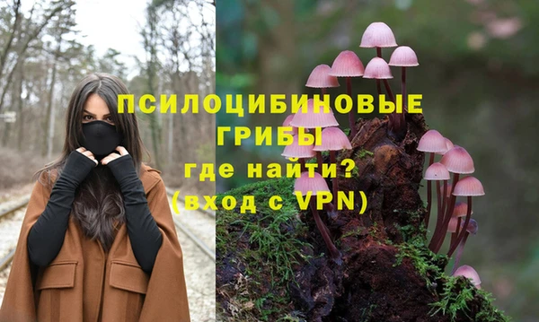 Альфа ПВП Алзамай