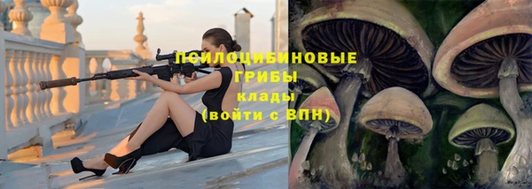 Альфа ПВП Алзамай